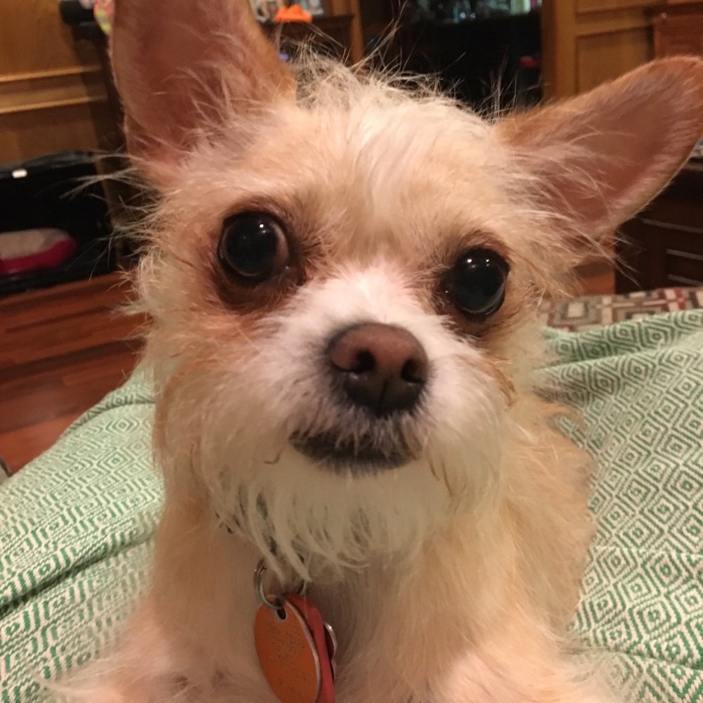 Meet your Posher, Karla